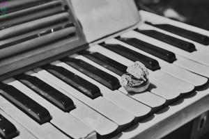 Beautiful Beach Wedding Detail Photographs Wedding Ring Bands Piano Keys Instruments (1)