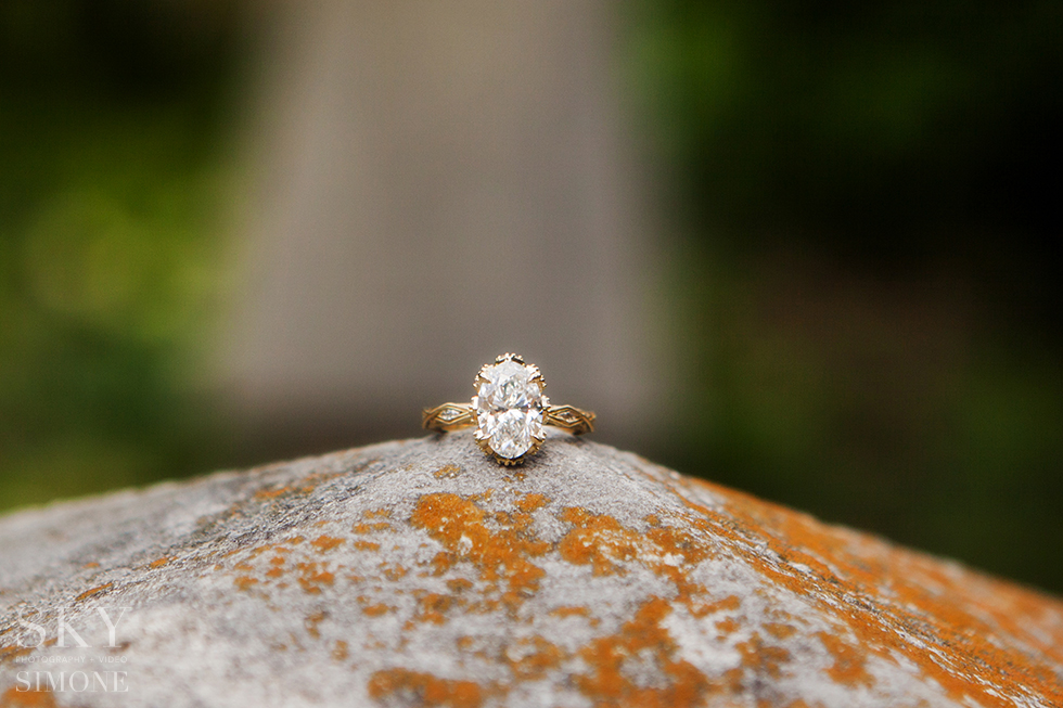 Cator Woolford Gardens Surprise Proposals Atlatna Photographer Charlie Meredith